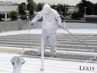 Professional Roof Coating