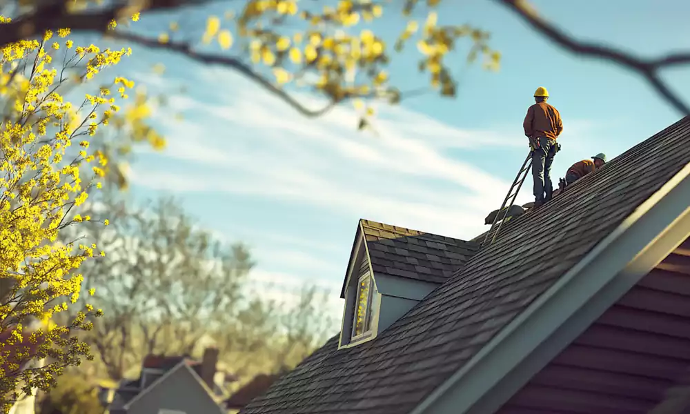 Professional Residential Roofing Repair Team